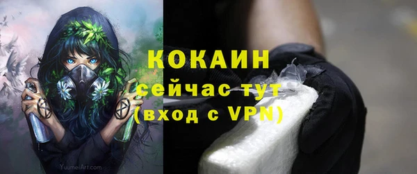 прущий лед Алексин