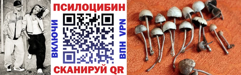 Псилоцибиновые грибы MAGIC MUSHROOMS где найти omg рабочий сайт Ижевск