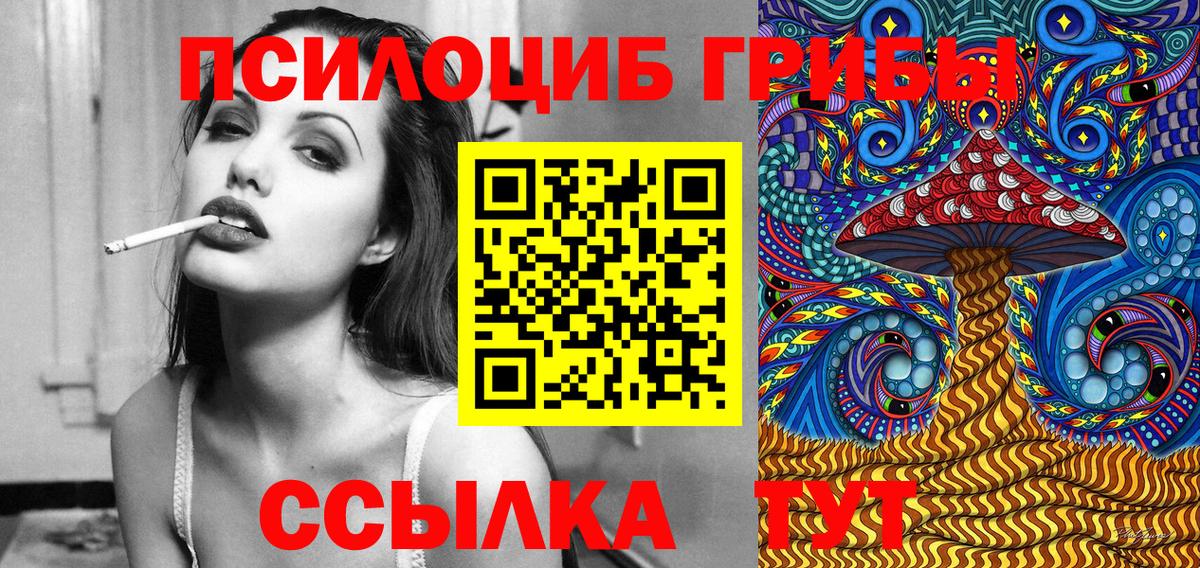 Псилоцибиновые грибы Cubensis Ижевск